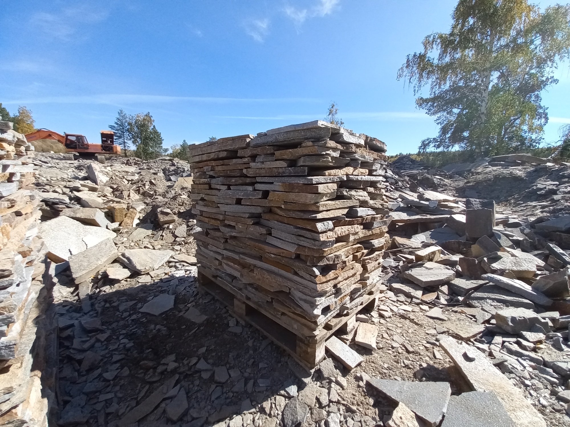 Плитняк златолит серебристый для мощения на бетон купить в Рязанской области