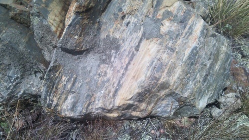 Гигантские зелёные валуны для ландшафтного дизайна весом более 5 тонн купить в Рязанской области