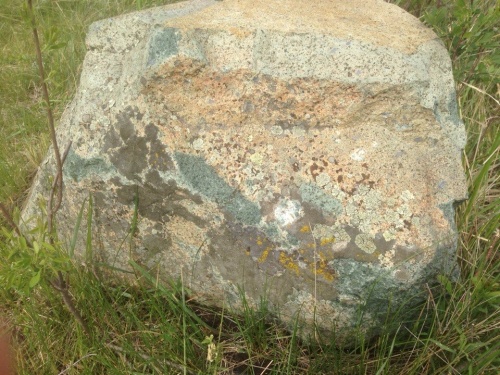 Гигантские зелёные валуны для ландшафтного дизайна весом более 5 тонн купить в Рязанской области