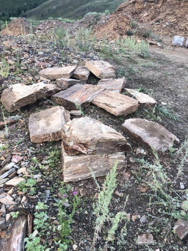 Плитняк кора дерева 50-100мм для пошаговых дорожек купить в Рязанской области